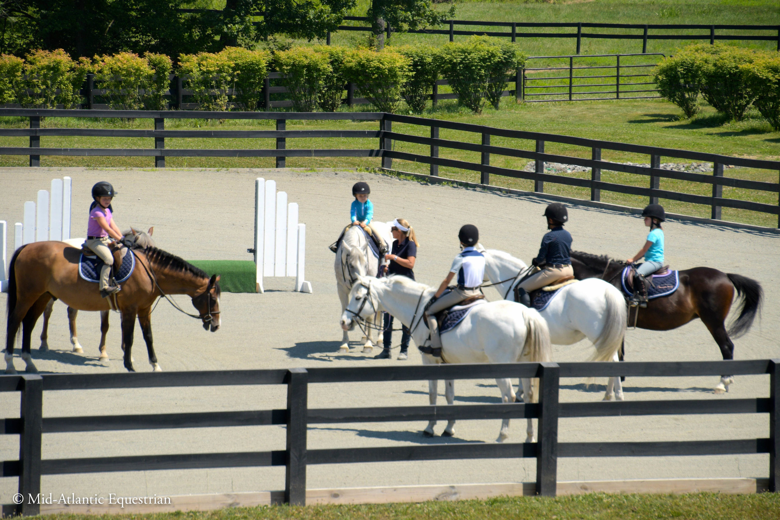Training - Foxtale Farm