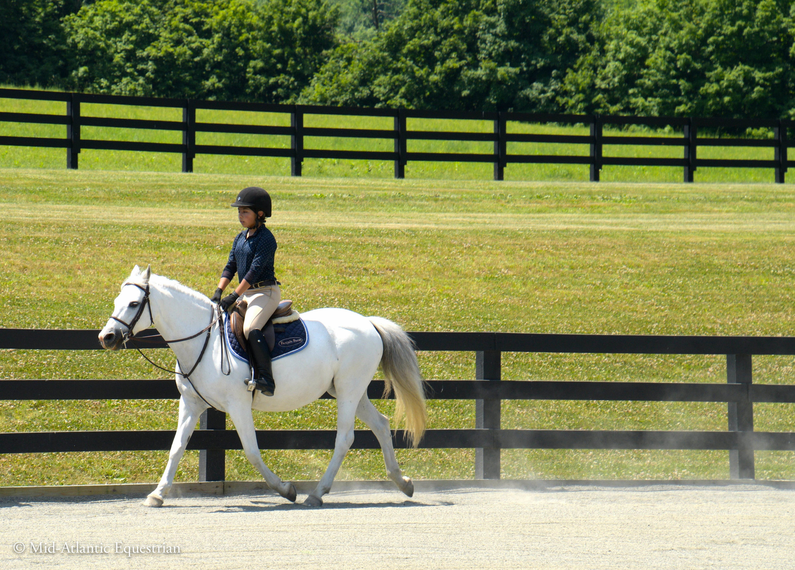 Training - Foxtale Farm