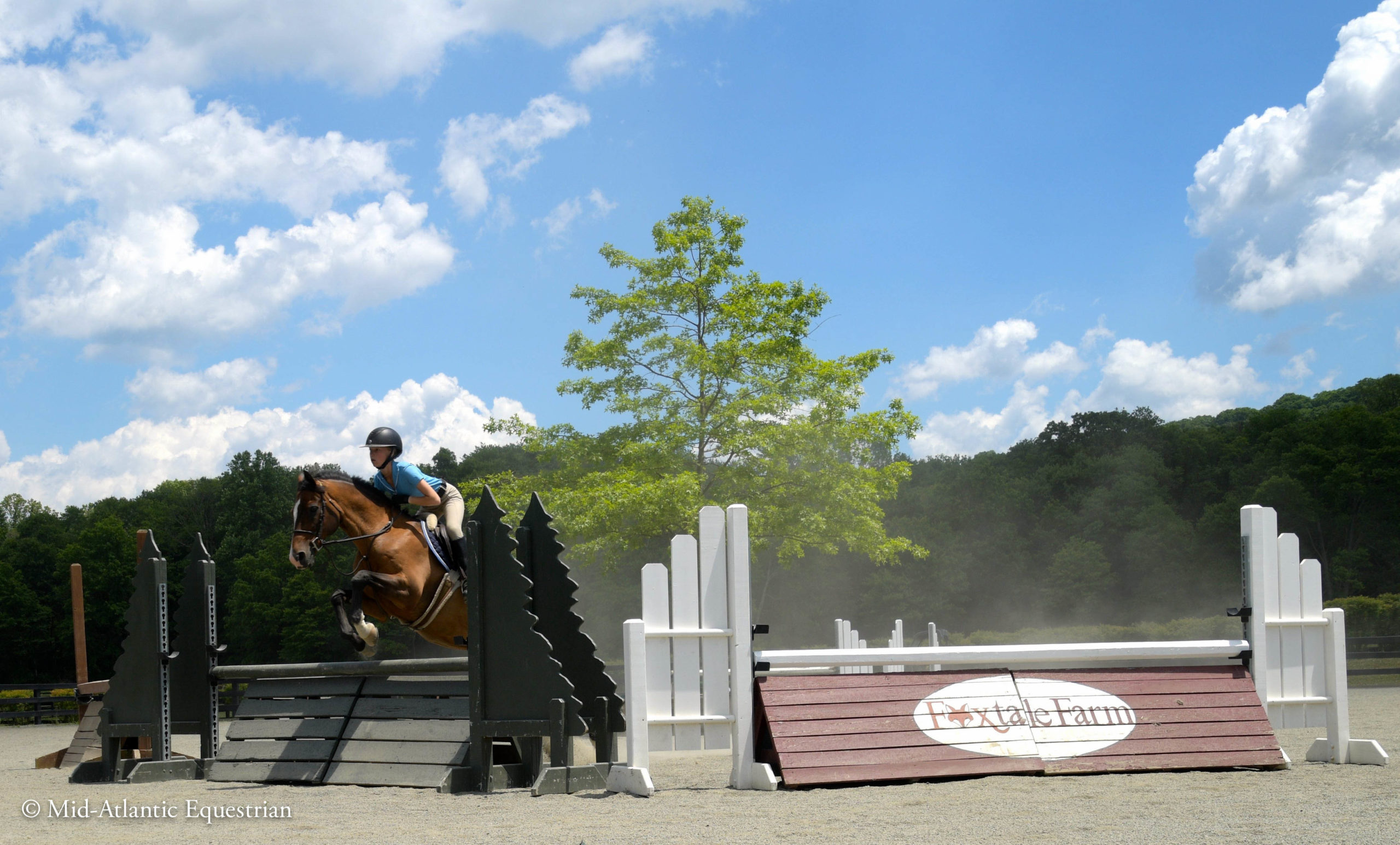 Training - Foxtale Farm