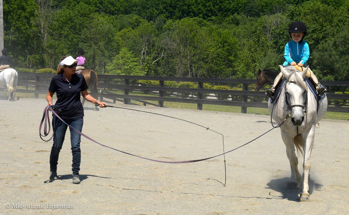 Training - Foxtale Farm